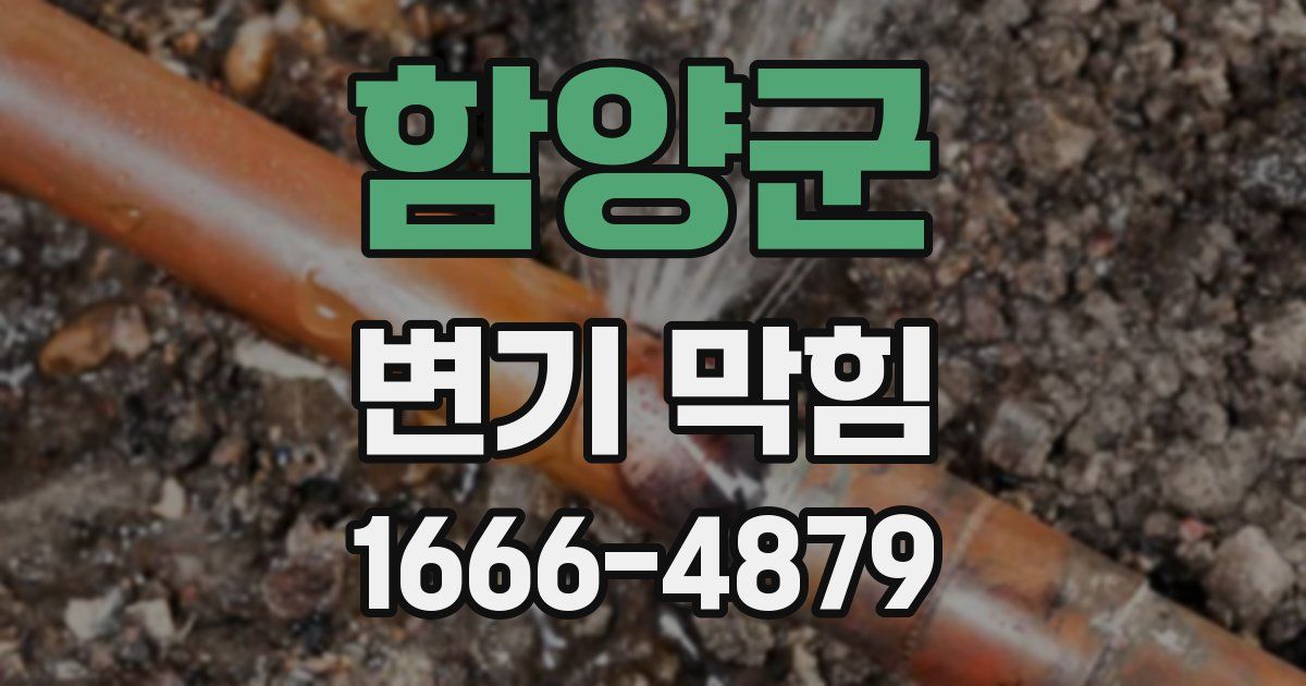 함양군 변기 막힘