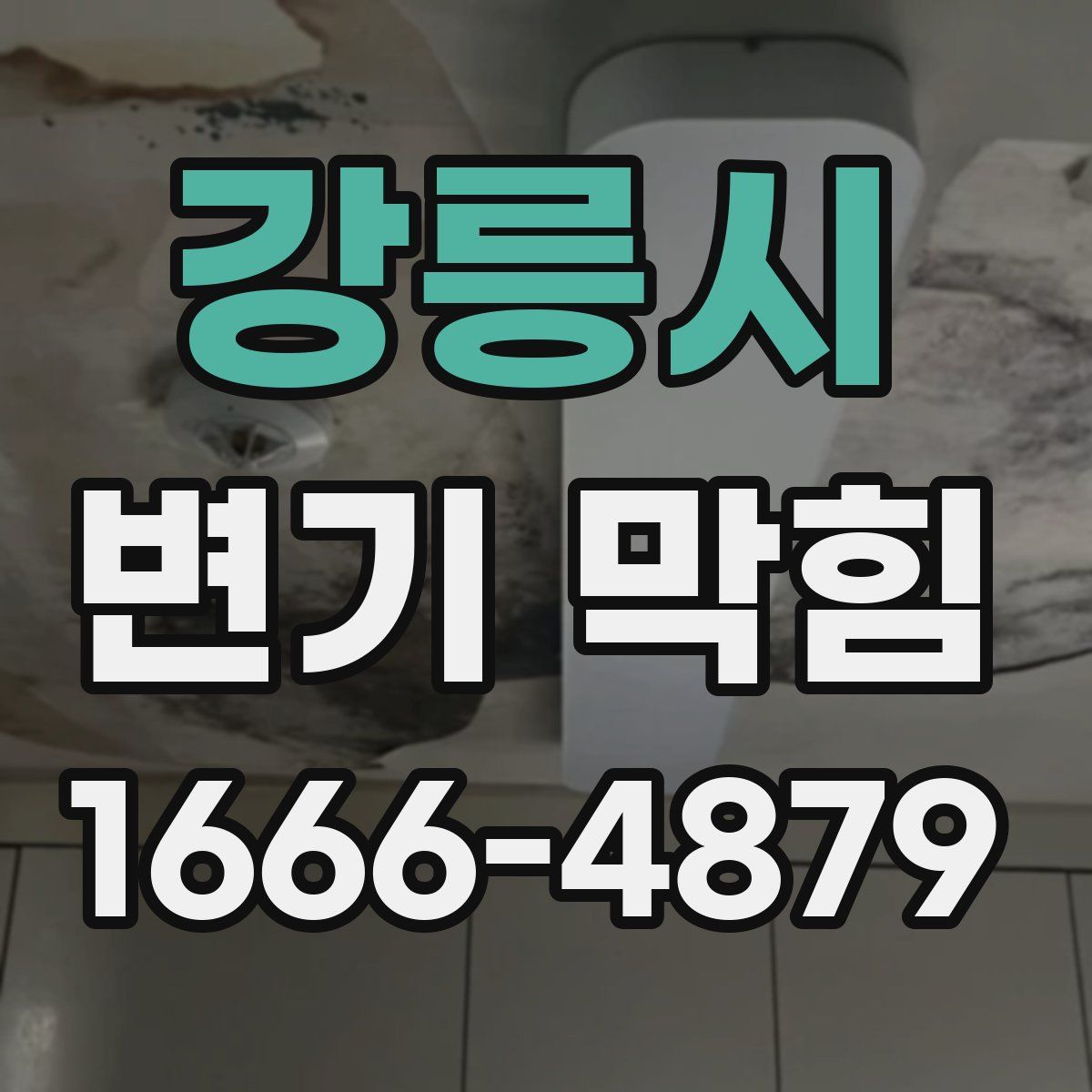 강릉시 변기 막힘