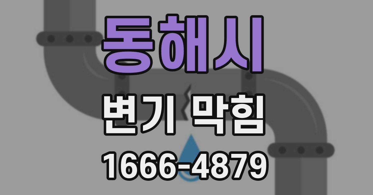 동해시 변기 막힘