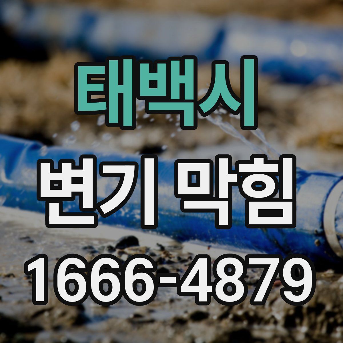 태백시 변기 막힘