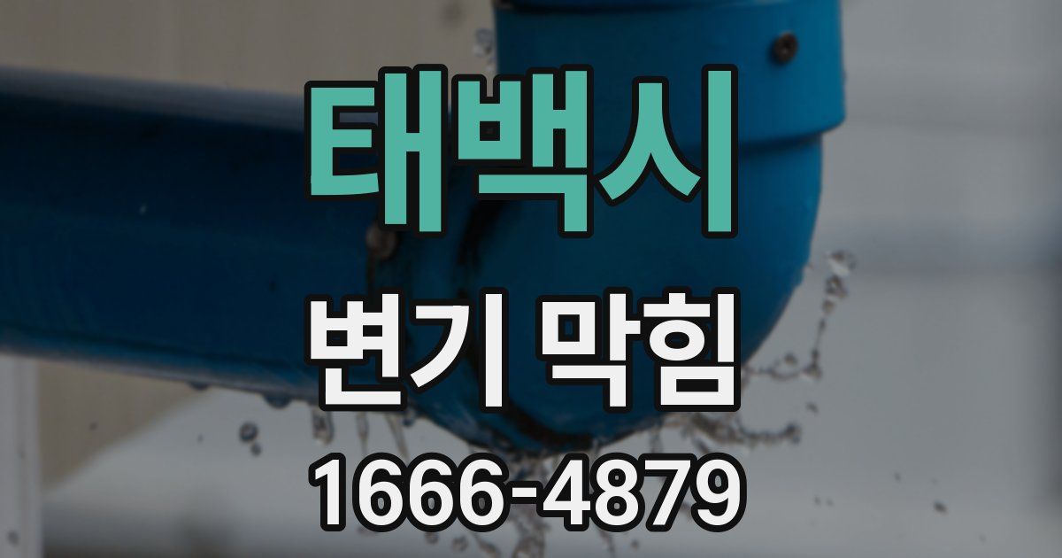 태백시 변기 막힘