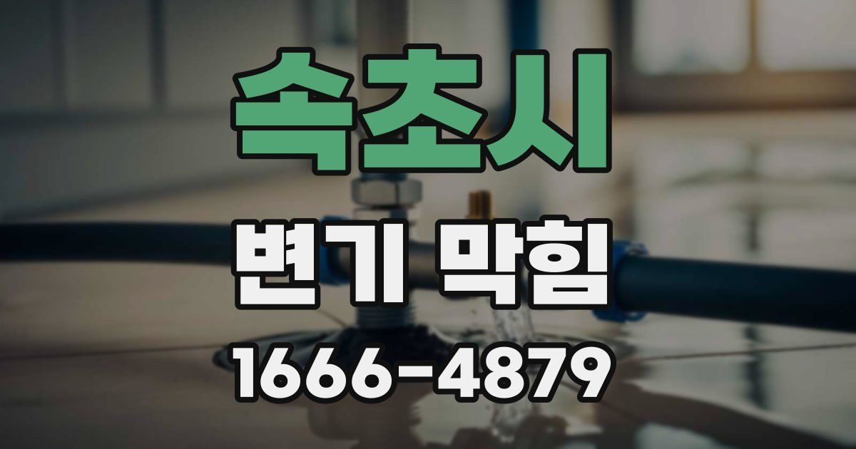 속초시 변기 막힘
