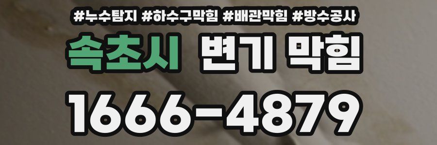 속초시 변기 막힘