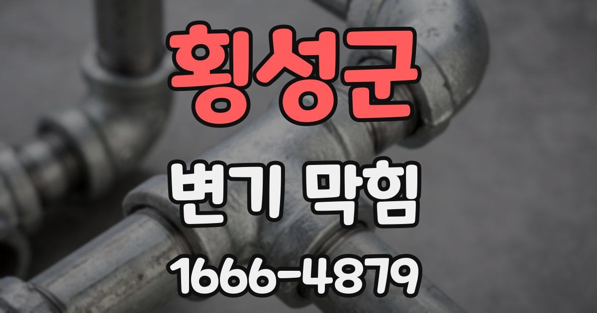 횡성군 변기 막힘