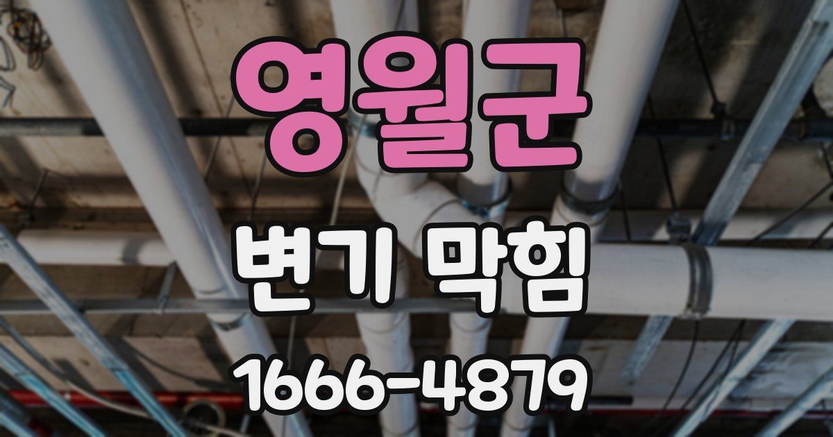영월군 변기 막힘