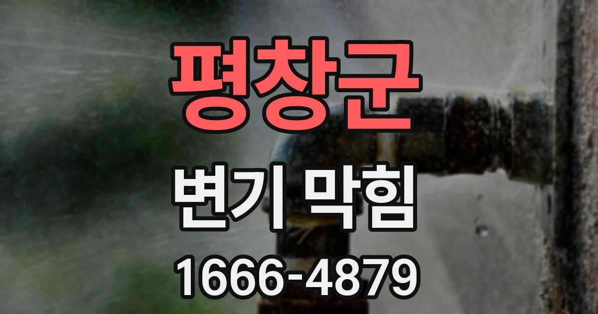 평창군 변기 막힘