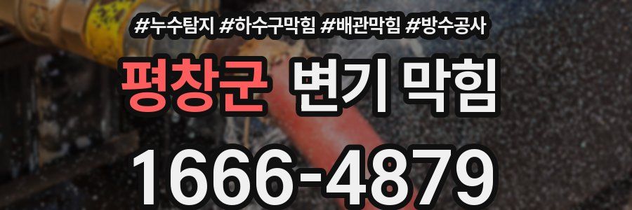 평창군 변기 막힘
