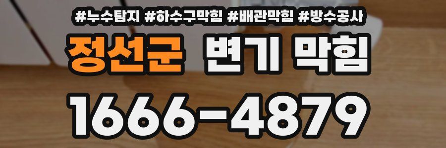 정선군 변기 막힘