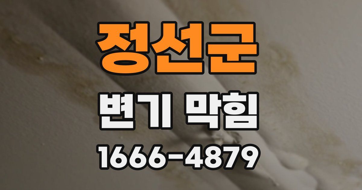 정선군 변기 막힘