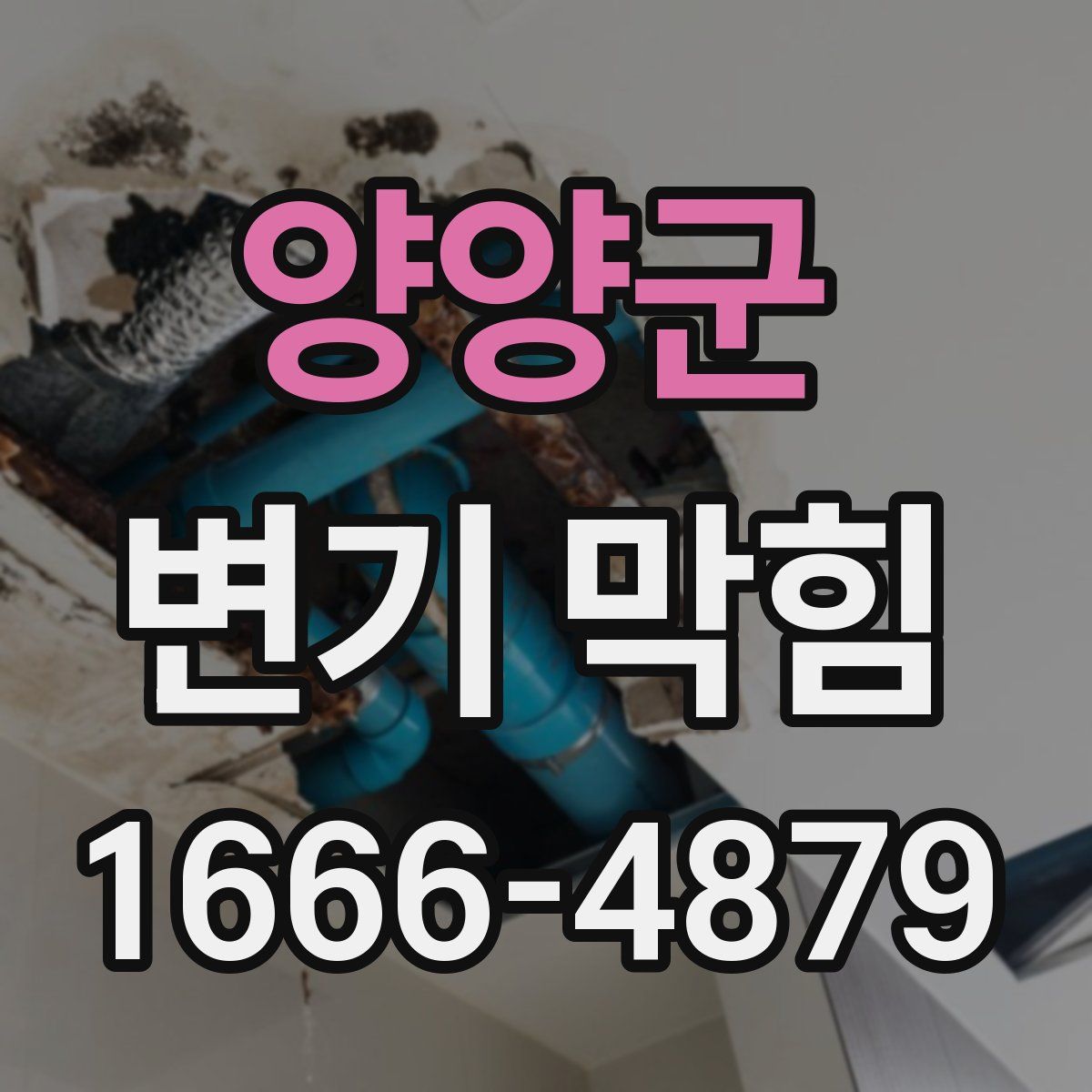 양양군 변기 막힘