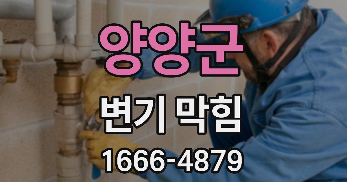 양양군 변기 막힘