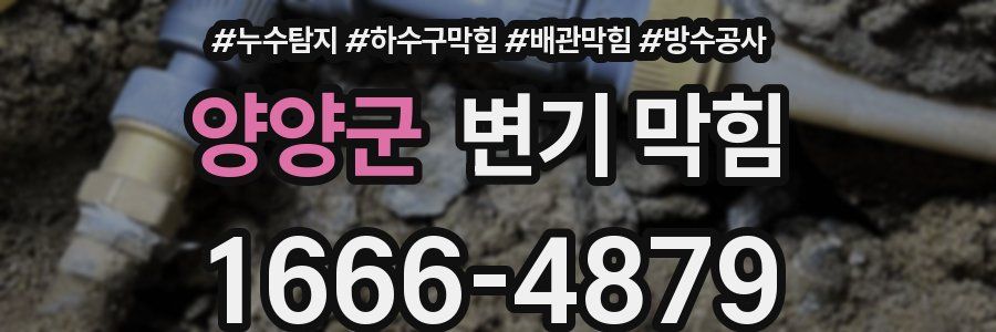 양양군 변기 막힘