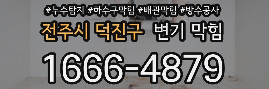전주시 덕진구 변기 막힘
