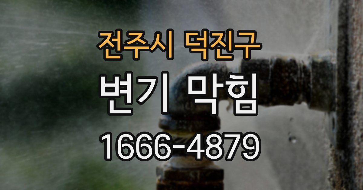 전주시 덕진구 변기 막힘