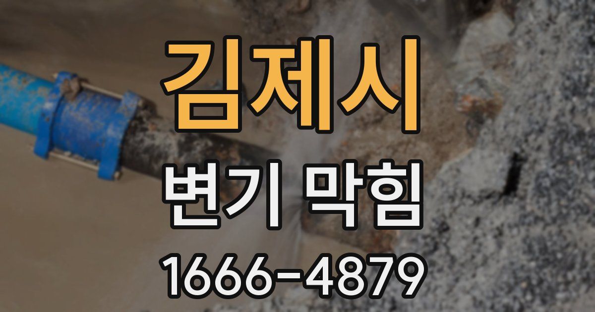 김제시 변기 막힘