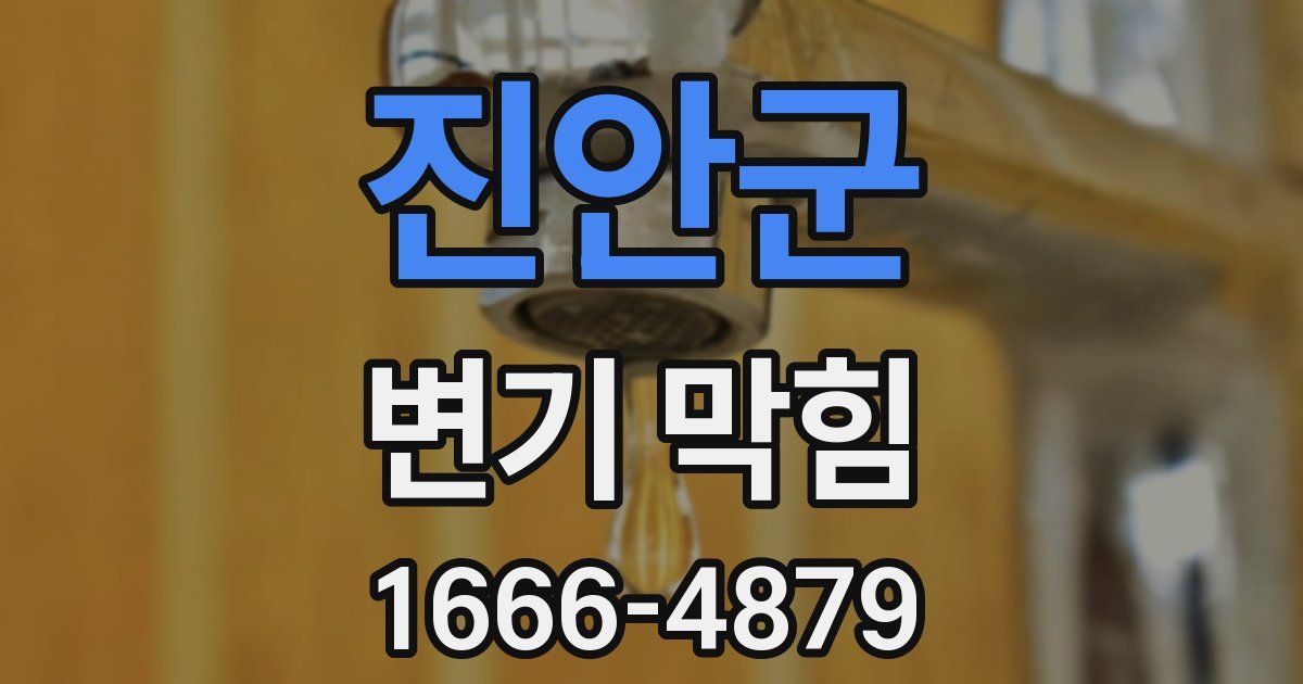진안군 변기 막힘