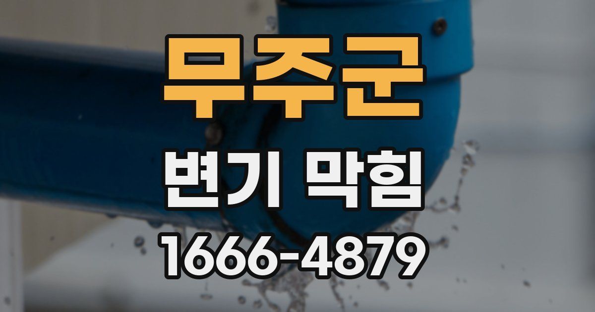무주군 변기 막힘