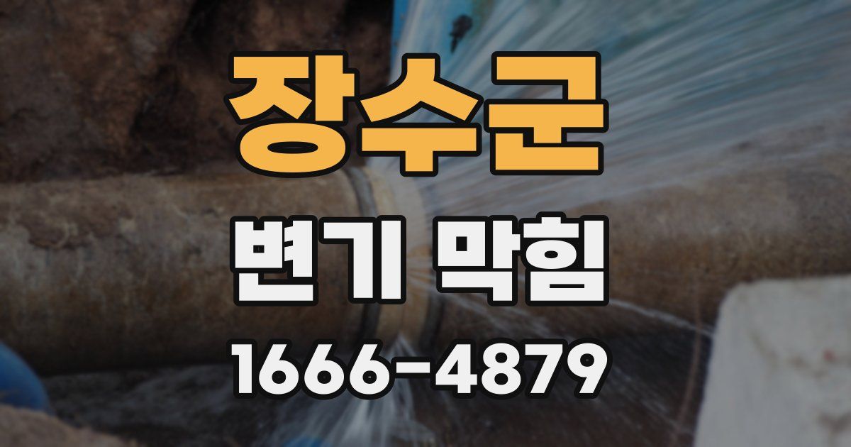 장수군 변기 막힘