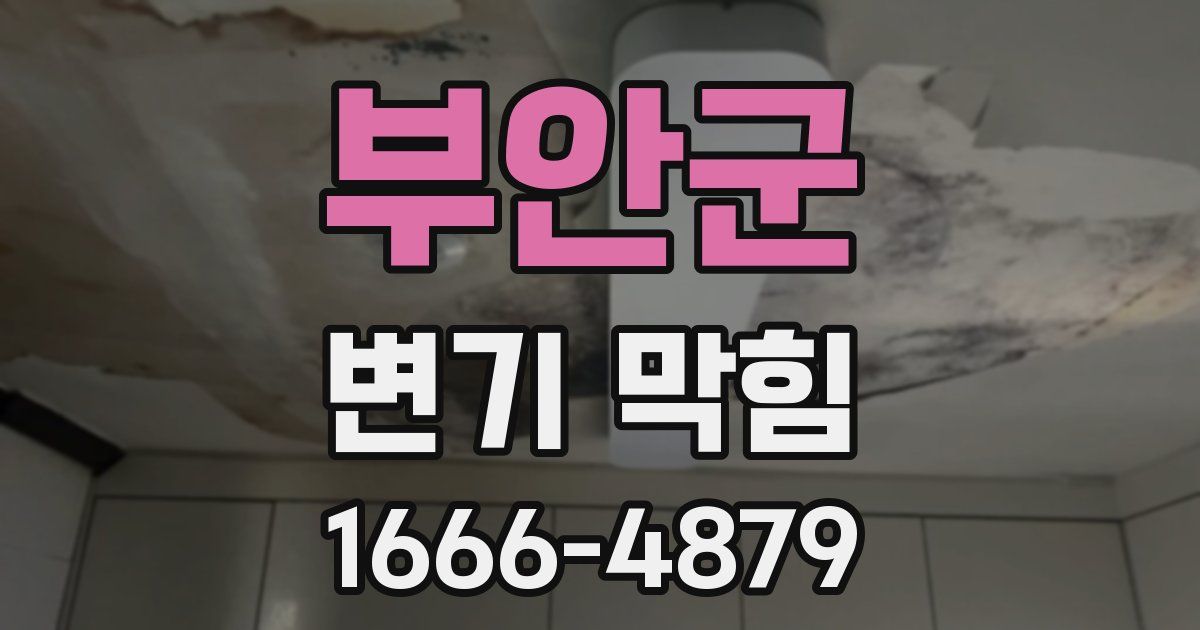부안군 변기 막힘