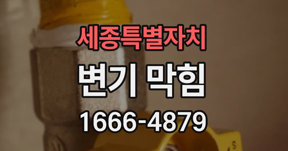 세종특별자치 변기 막힘