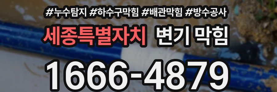 세종특별자치 변기 막힘