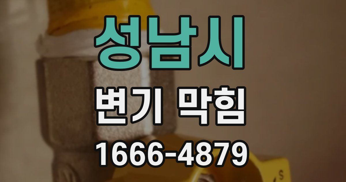 성남시 변기 막힘
