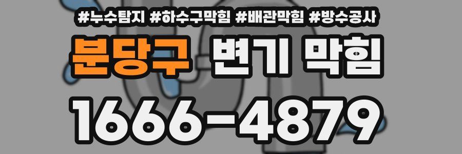 분당구 변기 막힘