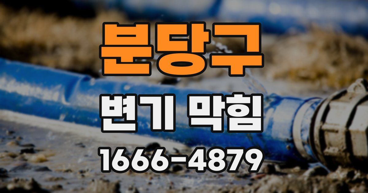 분당구 변기 막힘