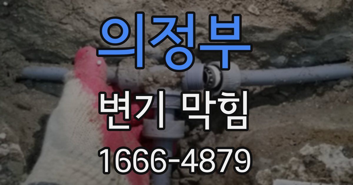 의정부 변기 막힘