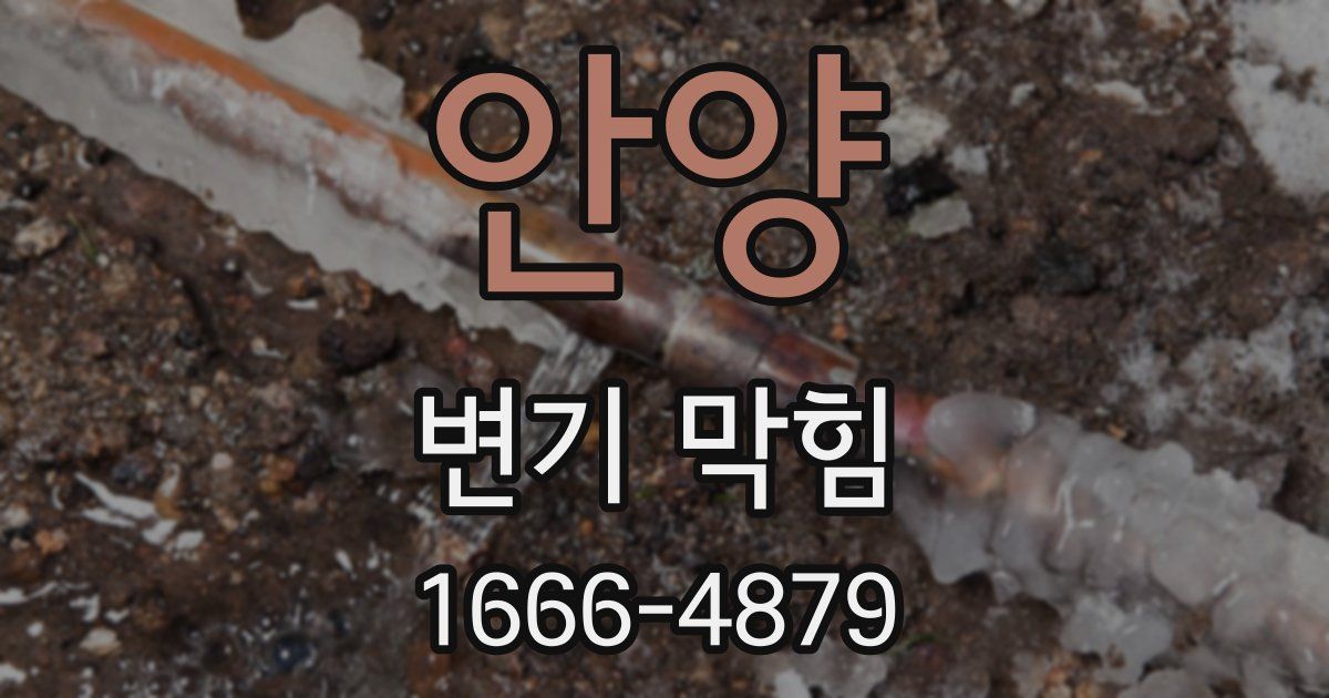 안양 변기 막힘
