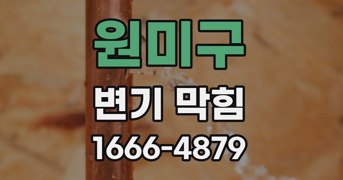 원미구 변기 막힘