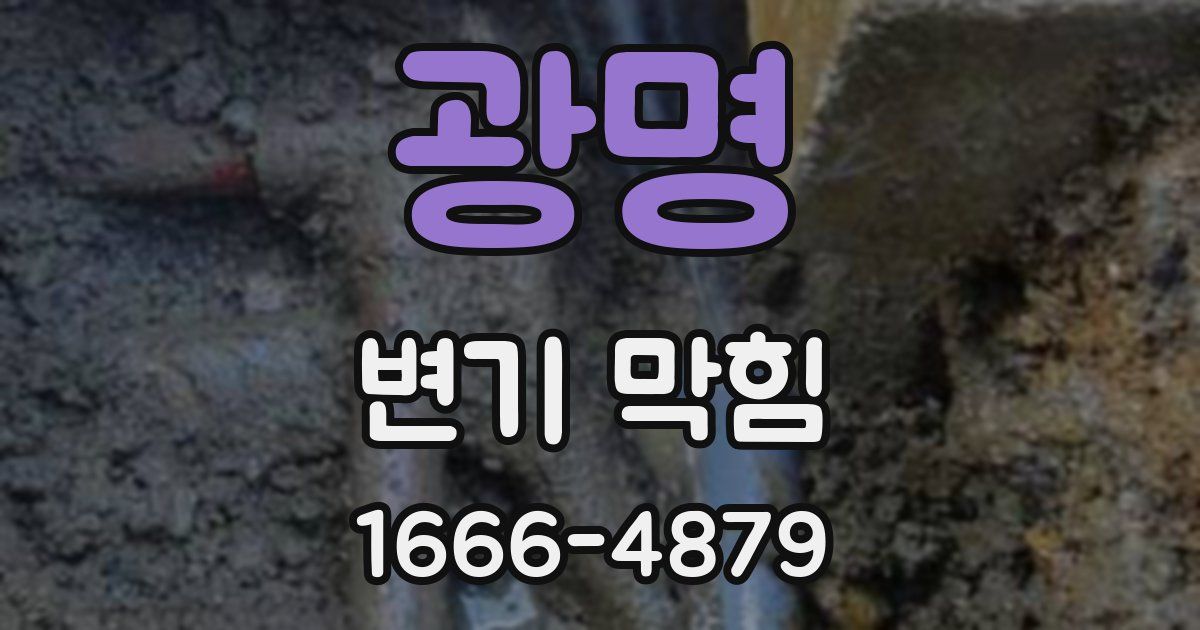광명 변기 막힘