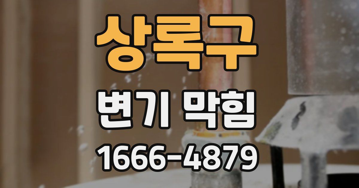 상록구 변기 막힘