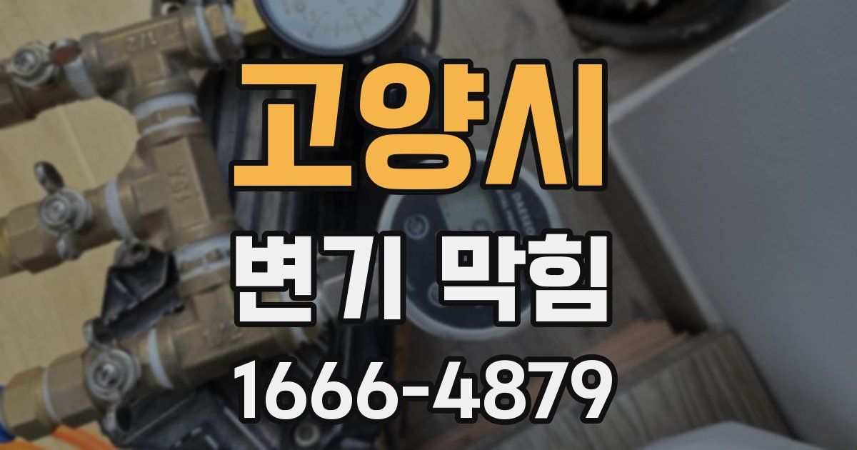 고양시 변기 막힘