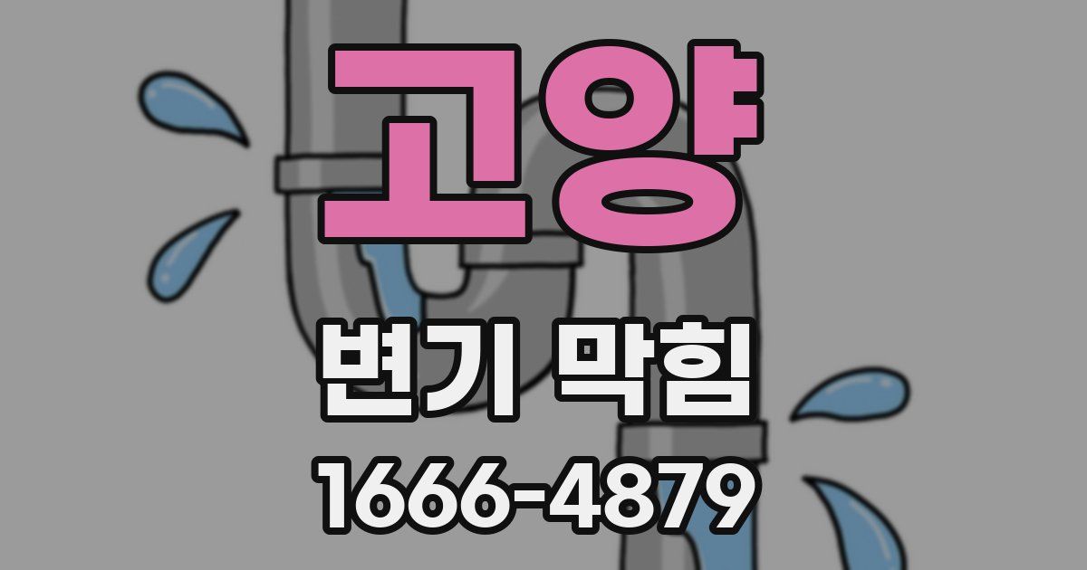 고양 변기 막힘