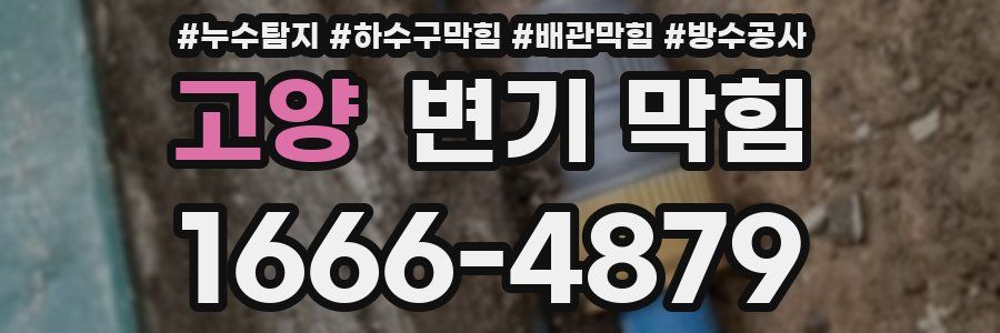 고양 변기 막힘