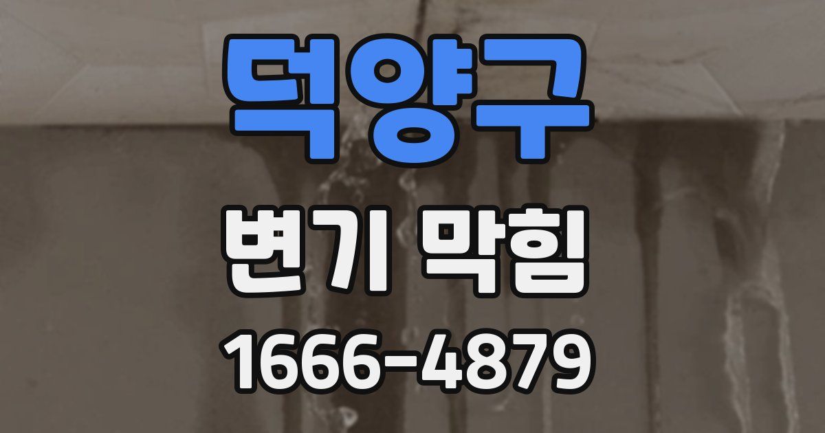 덕양구 변기 막힘