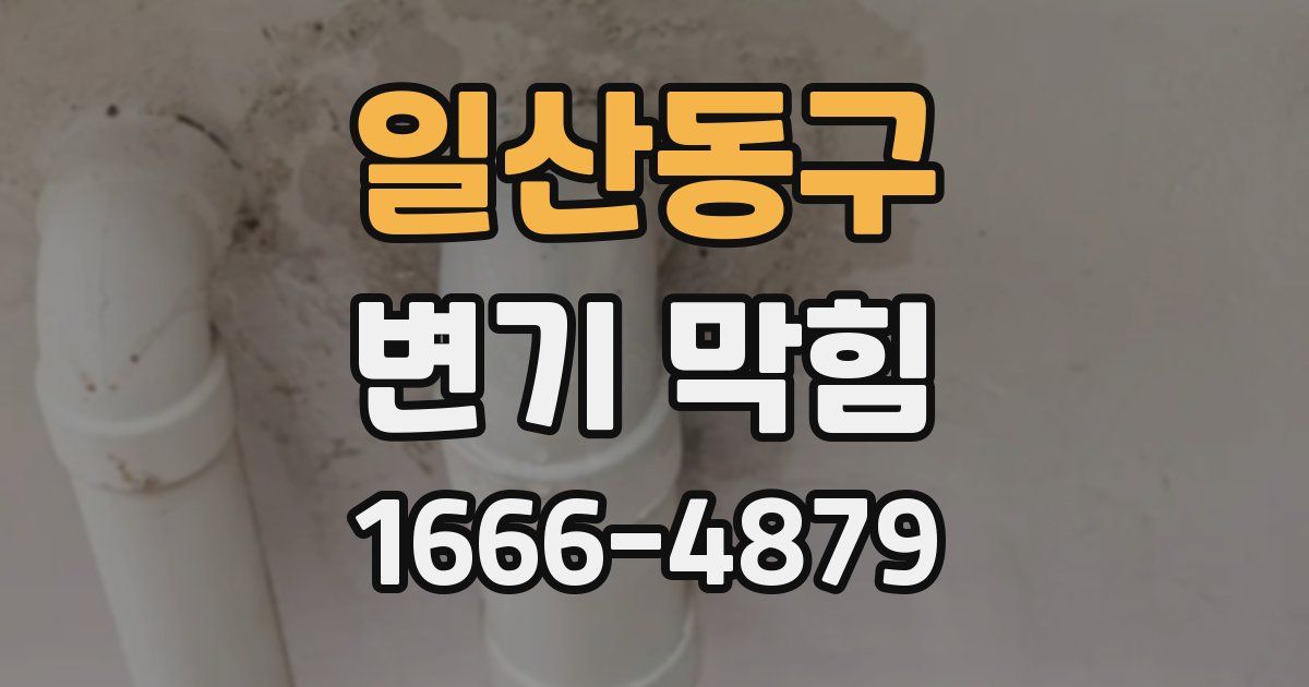 일산동구 변기 막힘