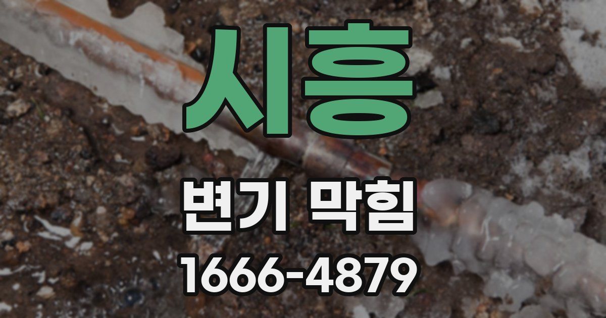 시흥 변기 막힘