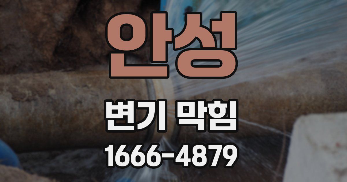 안성 변기 막힘