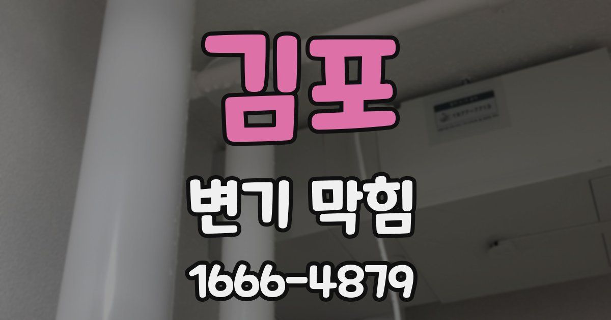 김포 변기 막힘