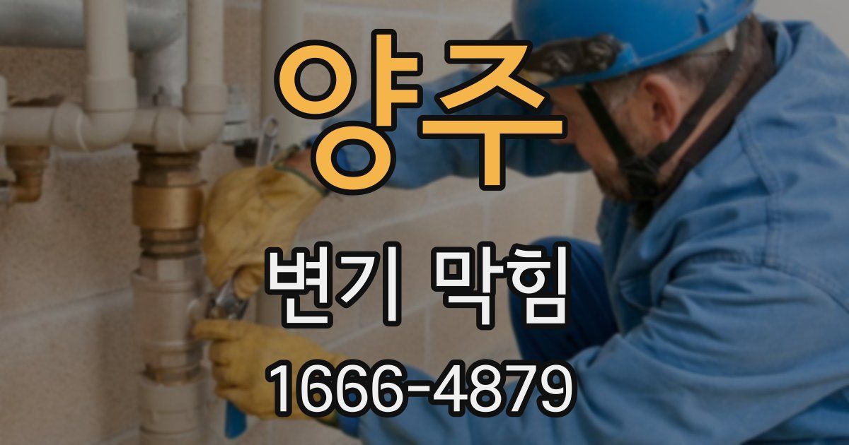 양주 변기 막힘
