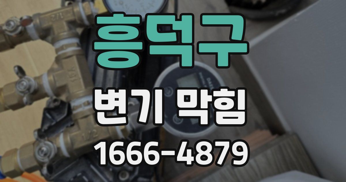 흥덕구 변기 막힘