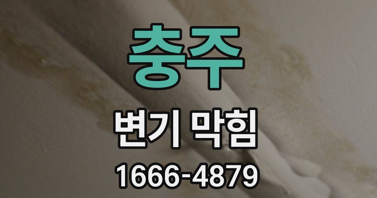 충주 변기 막힘