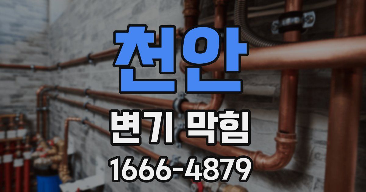천안 변기 막힘