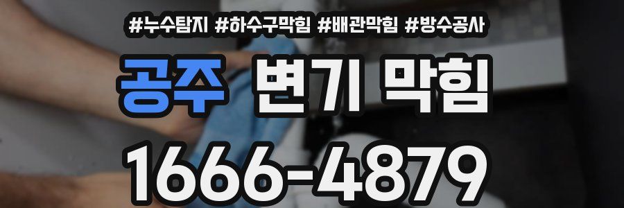 공주 변기 막힘