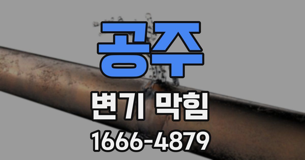공주 변기 막힘