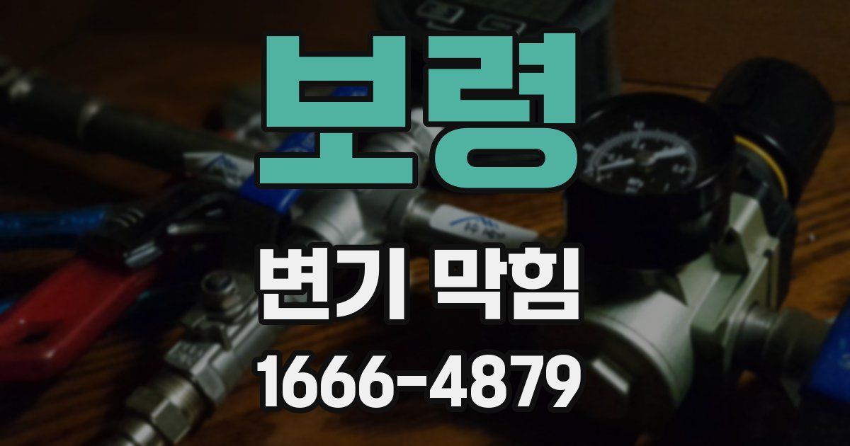 보령 변기 막힘