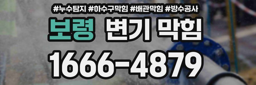 보령 변기 막힘