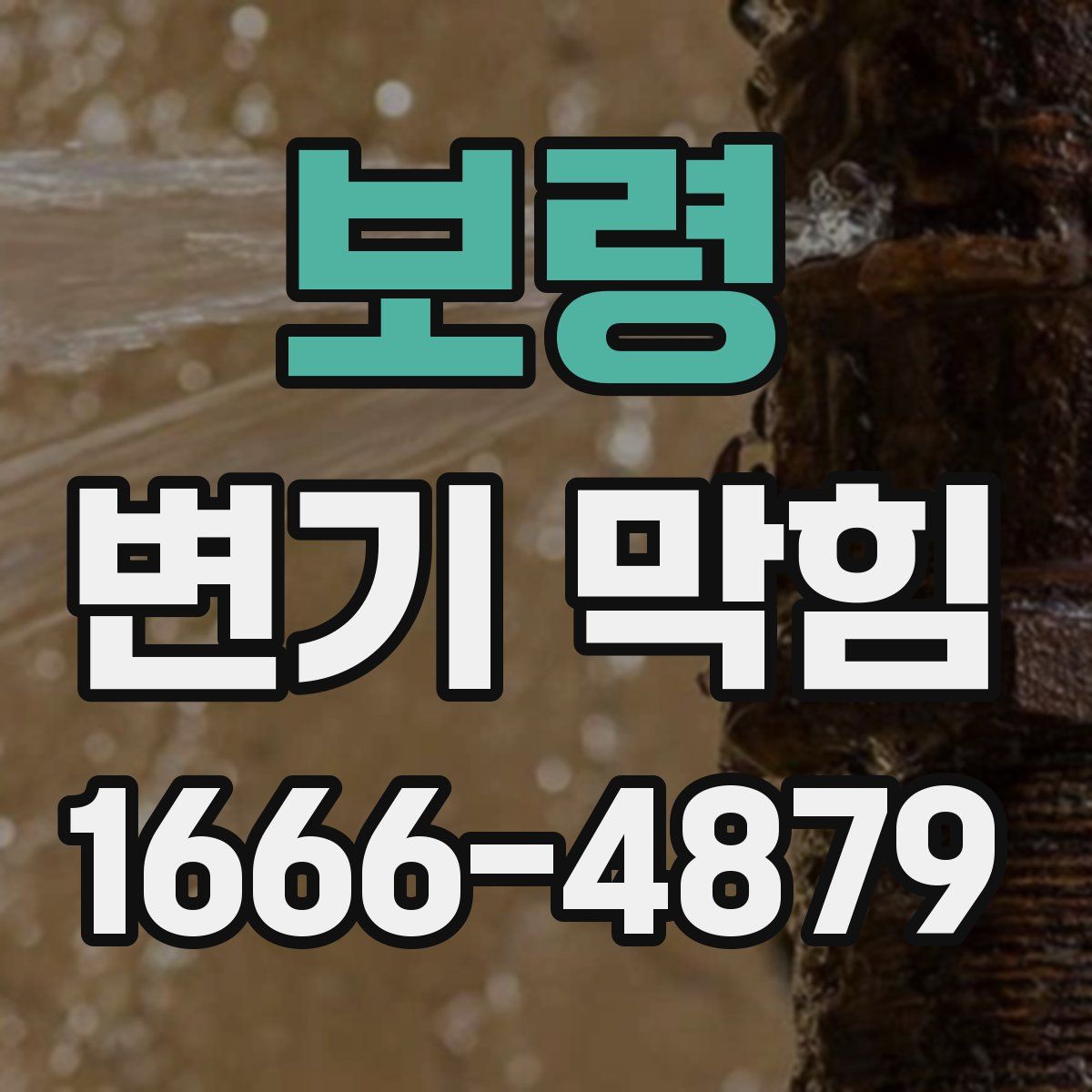 보령 변기 막힘